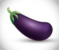 fresh eggplant whole, healthy food, vegetable organic vector
