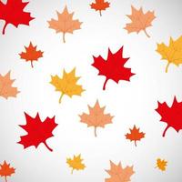 canada day maple leaves background vector