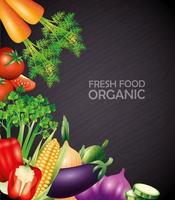 fresh organic vegetables, healthy food, healthy lifestyle or diet on black background vector