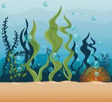 underwater background with algae and coral reef vector