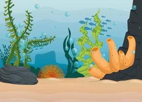 underwater background with algae and coral reef vector