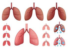 Lungs vector design illustration set isolated on white background