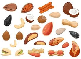 Nuts and peanuts set vector design illustration set isolated on white background