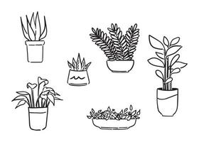 conjunto de plantas ornamentales, concepto de diseño de interiores de sala de estar, icono de contorno de doodle. Ilustración de vector de estilo dibujado a mano.