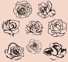 A silhouette of roses for Valentine's Day card and background. Vintage style. vector