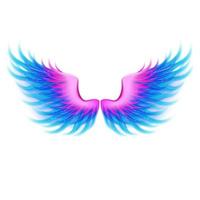 Fantastic colored wings. Vector illustration.