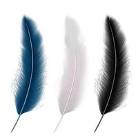 conjunto de plumas realistas conjunto de blanco, negro y azul. ilustración vectorial