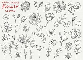 Hand drawn flower vector design illustration isolated on background