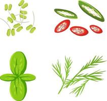 conjunto de hierbas para decoración de alimentos vector