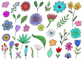 Hand drawn flower vector design illustration isolated on background