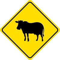 Cattle crossing yellow sign on white background vector