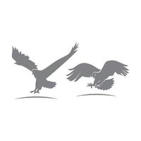 Eagle Hawk Silhouette Set vector