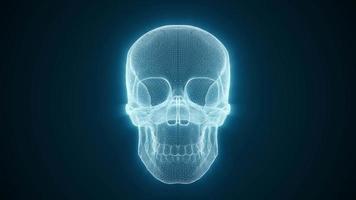 Abstract 3d Digital Skull Wireframe Textured Loop video