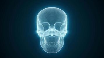 Abstract 3d Digital Skull Wireframe Textured Loop video