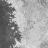 3D concrete texture background with tree shadow overlay photo