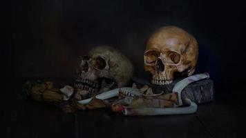 Two skulls with dried flowers on dark background photo
