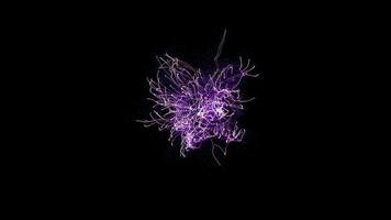 violette stippen en lijnen bewegende grafische netwerkachtergrond video