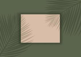 Display mock up background with palm tree leaves shadow overlay vector