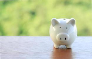 White piggy on wooden table with green forest background photo