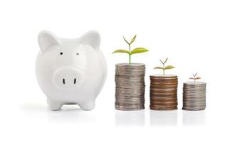 White piggy bank with stacks of coins on white background photo