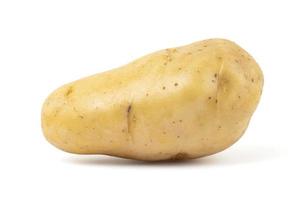 Yellow potato on white background photo