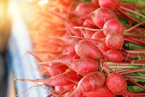 Close up view of radishes in sunlight photo