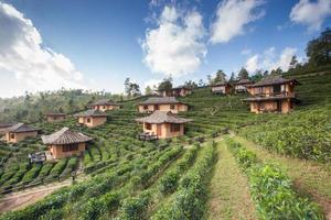 Chines huts on hill under cloudy sky photo