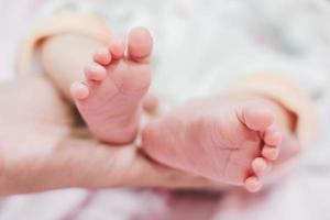 Baby feet in mother hands photo