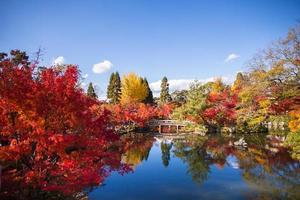 Bridge and autumn trees over water photo