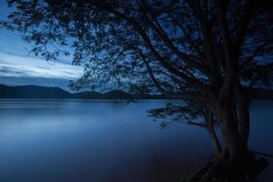 árbol cerca de un río en la noche foto