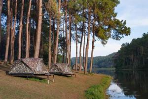 Camping tents with tree near water photo