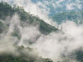 Foggy slope during the day photo