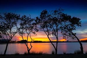 Tree silhouettes at sunset photo