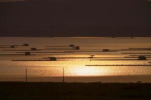 Floating huts on the water at sunset photo