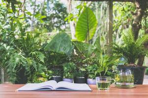 libro sobre el escritorio, fondo de naturaleza foto