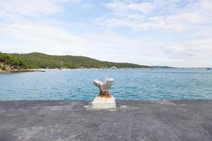 Mooring pole on the shore photo