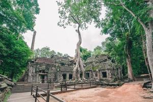 Ta Prohm temple overgrown with trees in Angkor, Siem Reap, Cambodia