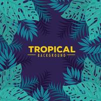 fondo de follaje tropical con hojas verdes vector