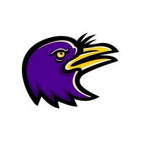 american crow head side mascot vector