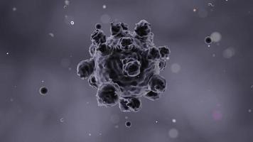 virus del morbillo microscopico video