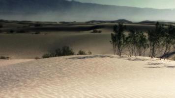 un viento suave sopla sobre las dunas del desierto video