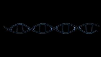les molécules d'ADN de structure tournent l'animation d'hélice avec boucle video