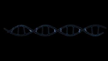 Estructura de moléculas de adn giran animación de hélice con bucle video