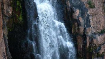 haute cascade dans la forêt tropicale video