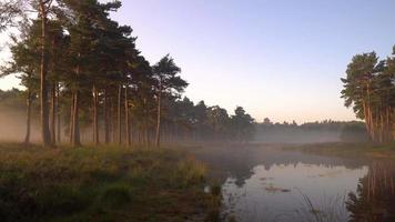 brouillard tôt le matin le long de la rivière video