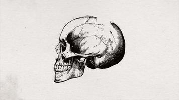 Abstract Old Science Skull Head Drawing Background Animation video