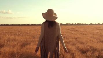 Mujer disfruta de caminar en el campo con hermosas vistas rurales video