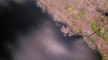 mouvement sur de petites îles sauvages sur le fleuve Dniepr. video