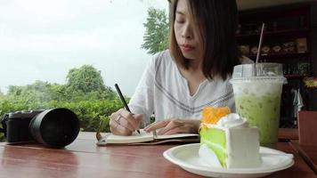 Asian traveler writes in a notebook. video