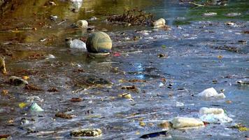 Wasserverschmutzung verschwendet video